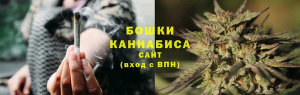 сатива Армянск