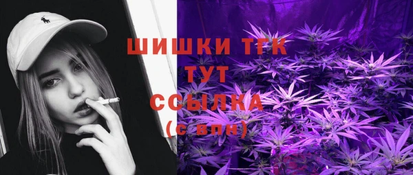 сатива Армянск