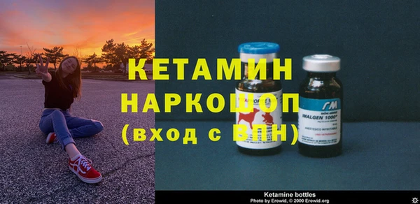 сатива Армянск