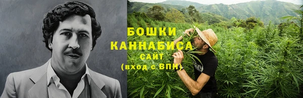 сатива Армянск