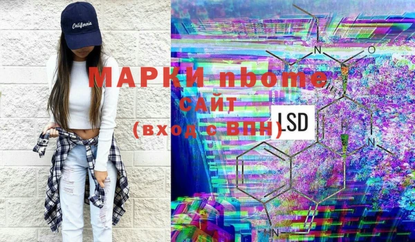 сатива Армянск