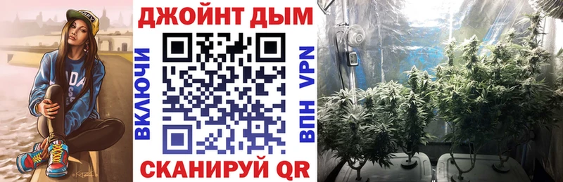Купить где Бородино Конопля конопля